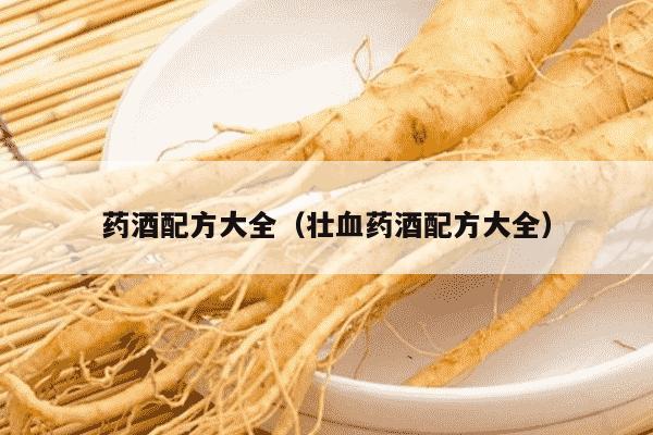 药酒配方大全（壮血药酒配方大全）