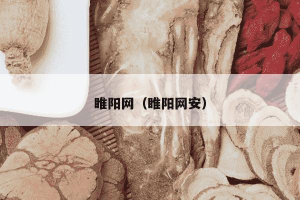 睢阳网（睢阳网安）
