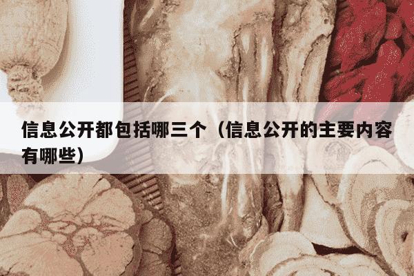信息公开都包括哪三个（信息公开的主要内容有哪些）