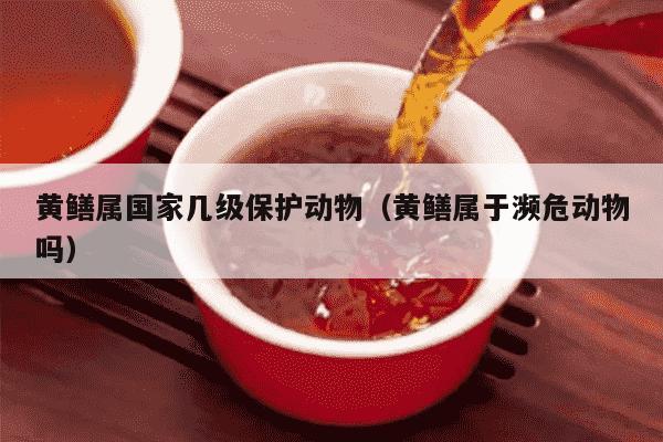 黄鳝属国家几级保护动物（黄鳝属于濒危动物吗）