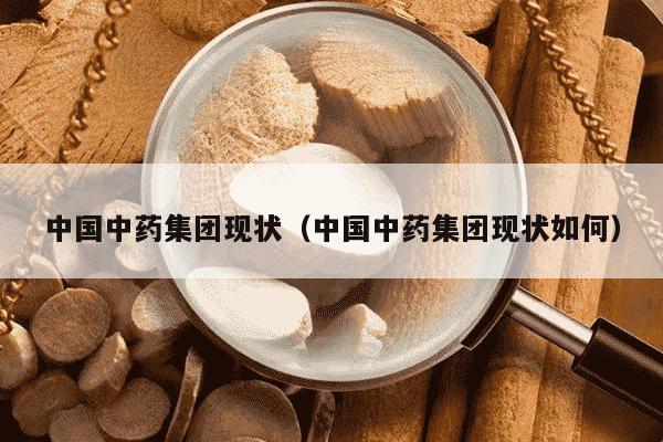中国中药集团现状（中国中药集团现状如何）