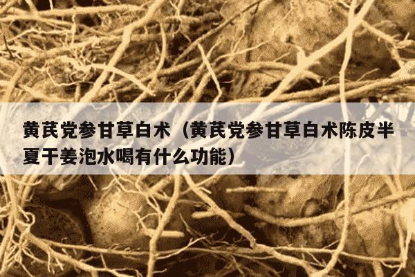 黄芪党参甘草白术（黄芪党参甘草白术陈皮半夏干姜泡水喝有什么功能）