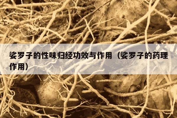 娑罗子的性味归经功效与作用（娑罗子的药理作用）