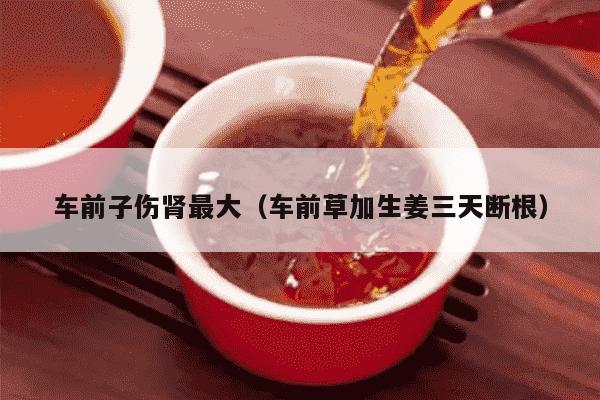 车前子伤肾最大（车前草加生姜三天断根）