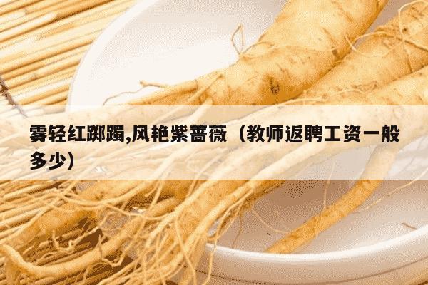 雾轻红踯躅,风艳紫蔷薇（教师返聘工资一般多少）