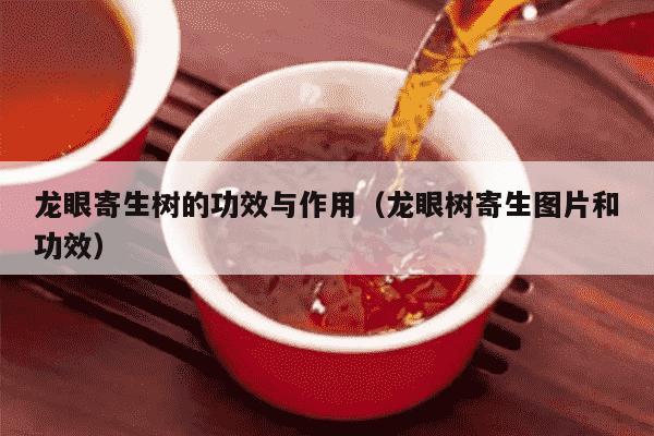 龙眼寄生树的功效与作用（龙眼树寄生图片和功效）
