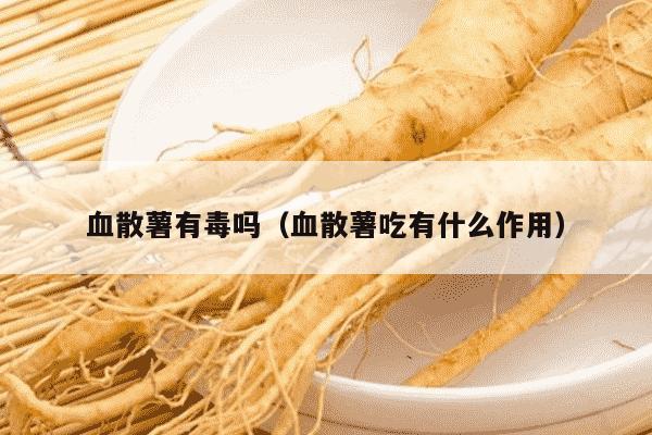 血散薯有毒吗（血散薯吃有什么作用）