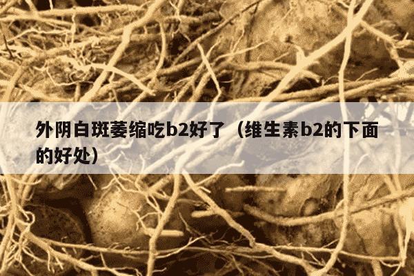 外阴白斑萎缩吃b2好了（维生素b2的下面的好处）