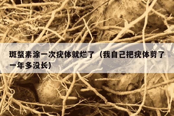 斑蝥素涂一次疣体就烂了（我自己把疣体剪了一年多没长）