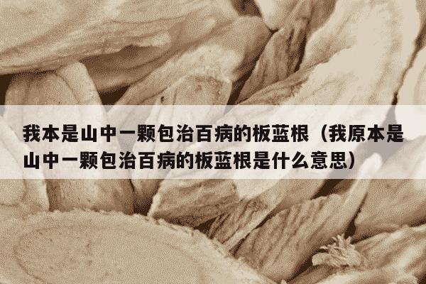 我本是山中一颗包治百病的板蓝根（我原本是山中一颗包治百病的板蓝根是什么意思）