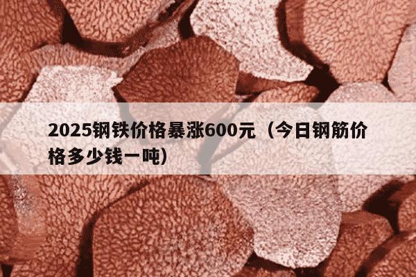 2025钢铁价格暴涨600元（今日钢筋价格多少钱一吨）