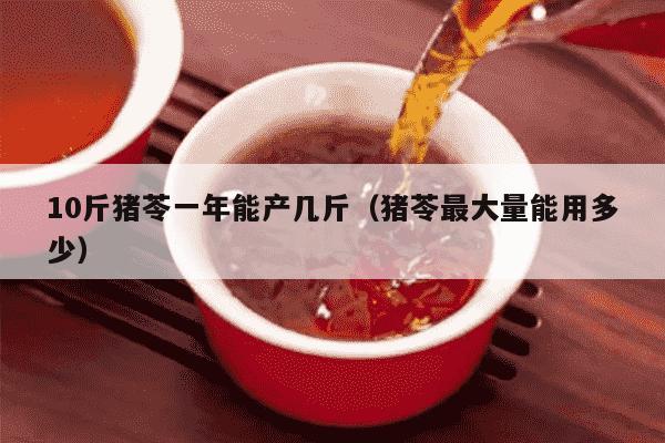 10斤猪苓一年能产几斤（猪苓最大量能用多少）