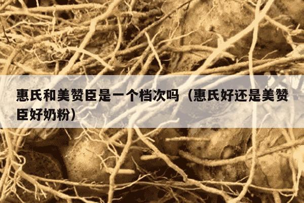 惠氏和美赞臣是一个档次吗（惠氏好还是美赞臣好奶粉）