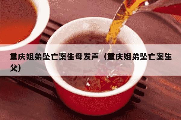重庆姐弟坠亡案生母发声（重庆姐弟坠亡案生父）