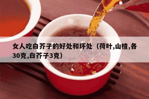 女人吃白芥子的好处和坏处（荷叶,山楂,各30克,白芥子3克）