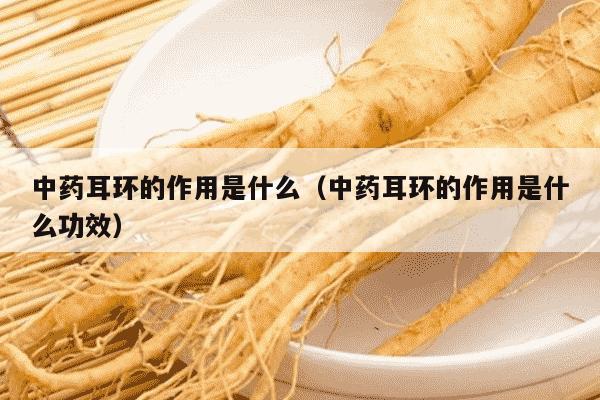 中药耳环的作用是什么（中药耳环的作用是什么功效）