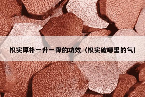 枳实厚朴一升一降的功效（枳实破哪里的气）