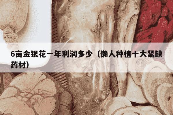 6亩金银花一年利润多少（懒人种植十大紧缺药材）