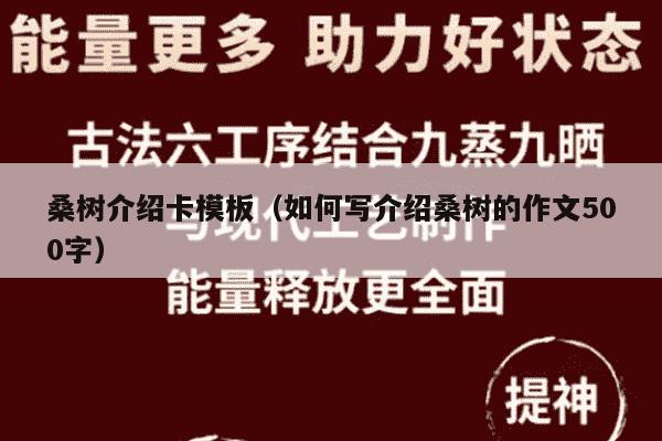 桑树介绍卡模板（如何写介绍桑树的作文500字）