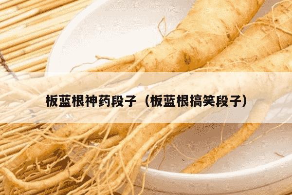 板蓝根神药段子（板蓝根搞笑段子）