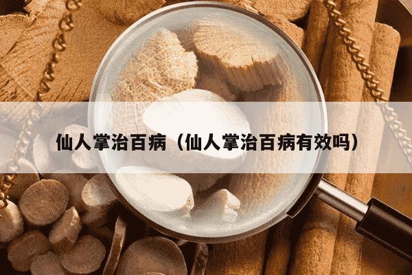 仙人掌治百病（仙人掌治百病有效吗）