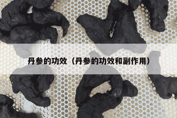 丹参的功效（丹参的功效和副作用）