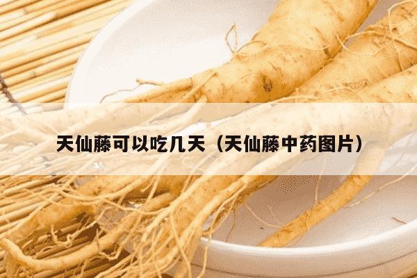 天仙藤可以吃几天（天仙藤中药图片）