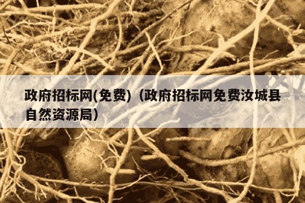 政府招标网(免费)（政府招标网免费汝城县自然资源局）