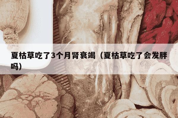 夏枯草吃了3个月肾衰竭（夏枯草吃了会发胖吗）