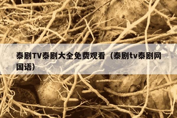 泰剧TV泰剧大全免费观看（泰剧tv泰剧网国语）