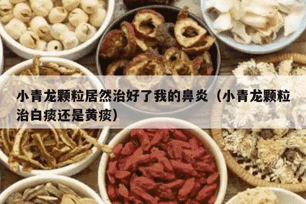 小青龙颗粒居然治好了我的鼻炎（小青龙颗粒治白痰还是黄痰）