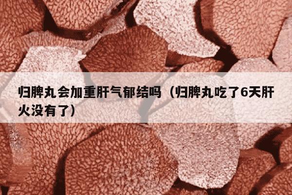 归脾丸会加重肝气郁结吗（归脾丸吃了6天肝火没有了）