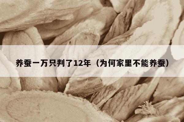 养蚕一万只判了12年（为何家里不能养蚕）