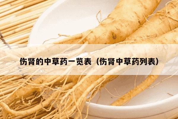 伤肾的中草药一览表（伤肾中草药列表）