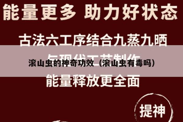 滚山虫的神奇功效（滚山虫有毒吗）