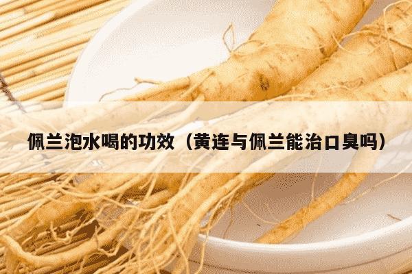 佩兰泡水喝的功效（黄连与佩兰能治口臭吗）