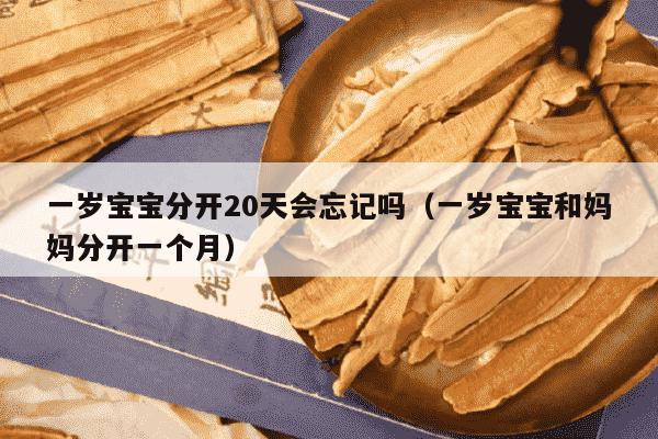 一岁宝宝分开20天会忘记吗（一岁宝宝和妈妈分开一个月）