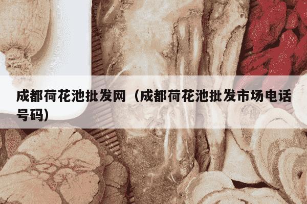成都荷花池批发网（成都荷花池批发市场电话号码）