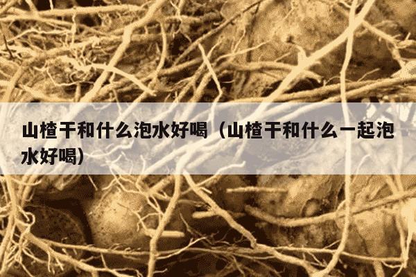 山楂干和什么泡水好喝（山楂干和什么一起泡水好喝）
