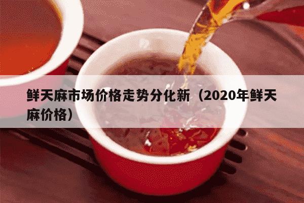 鲜天麻市场价格走势分化新（2020年鲜天麻价格）