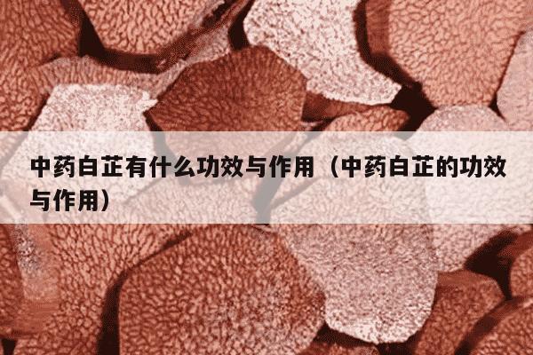 中药白芷有什么功效与作用（中药白芷的功效与作用）