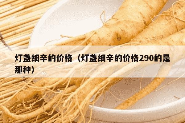 灯盏细辛的价格（灯盏细辛的价格290的是那种）