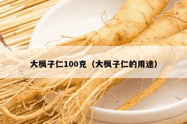大枫子仁100克（大枫子仁的用途）