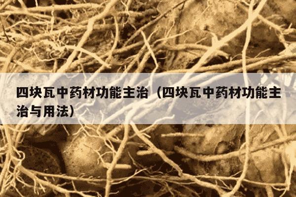 四块瓦中药材功能主治（四块瓦中药材功能主治与用法）