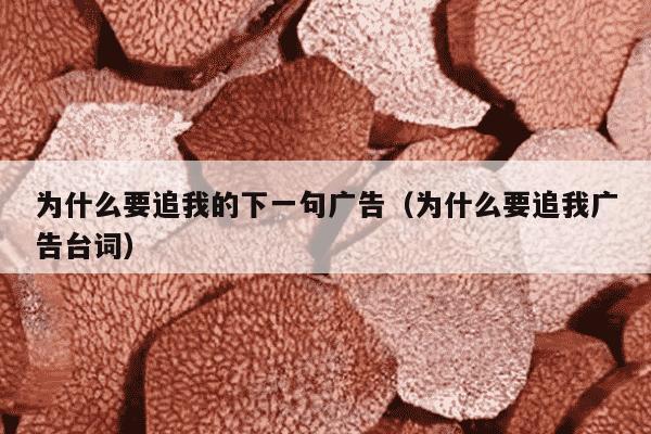 为什么要追我的下一句广告（为什么要追我广告台词）