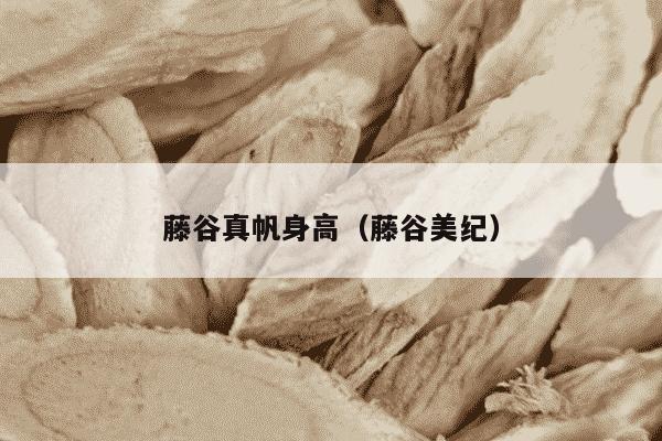 藤谷真帆身高（藤谷美纪）