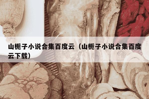 山栀子小说合集百度云（山栀子小说合集百度云下载）