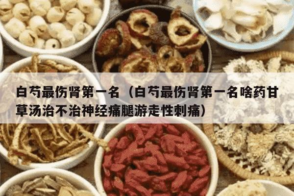 白芍最伤肾第一名（白芍最伤肾第一名啥药甘草汤治不治神经痛腿游走性刺痛）