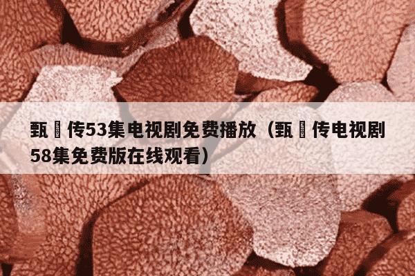 甄嬛传53集电视剧免费播放（甄嬛传电视剧58集免费版在线观看）