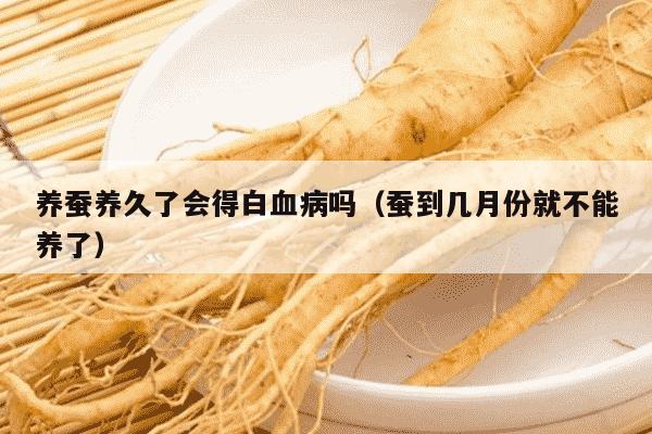 养蚕养久了会得白血病吗（蚕到几月份就不能养了）